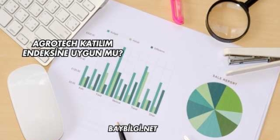 Agrotech Katılım Endeksine Uygun mu?