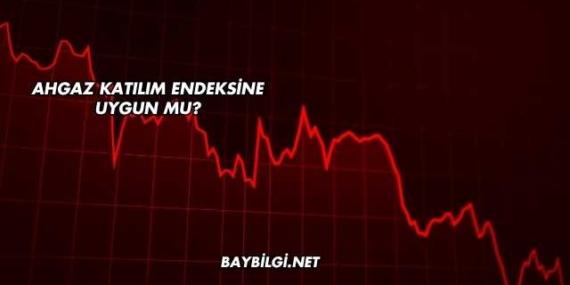Ahgaz Katılım Endeksine Uygun mu?