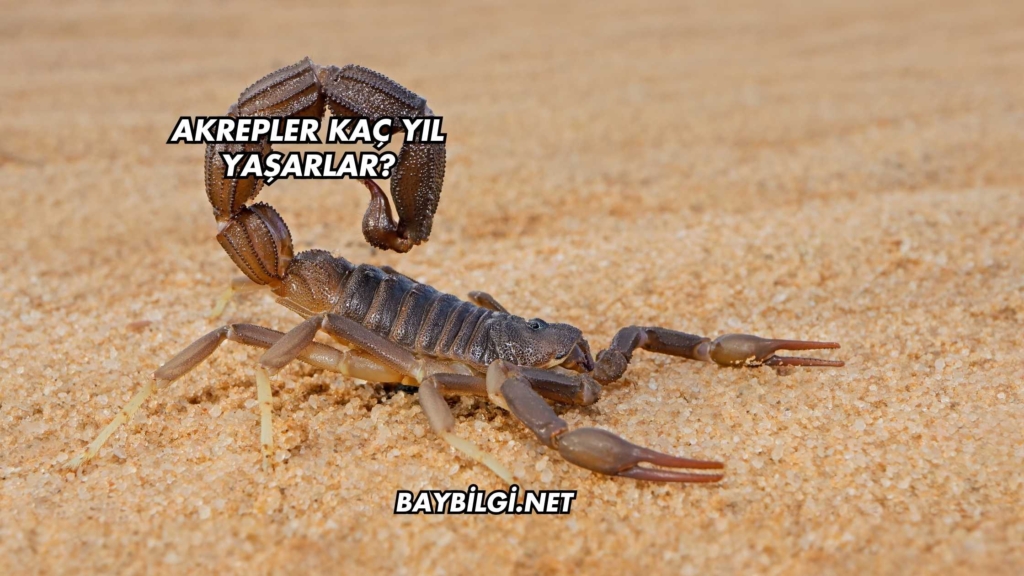 Akrepler Kaç Yıl Yaşarlar?