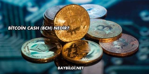Bitcoin Cash (BCH) Nedir?