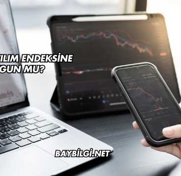DMR Katılım Endeksine Uygun mu?
