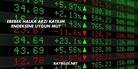Ebebek Halka Arzı Katılım Endeksine Uygun mu?