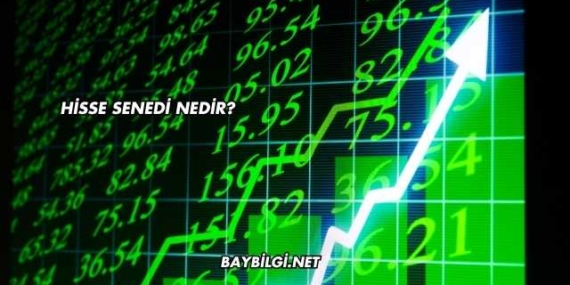 Hisse Senedi Nedir?