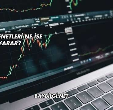Hisse Senetleri Ne İşe Yarar?