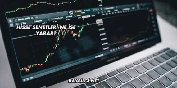 Hisse Senetleri Ne İşe Yarar?