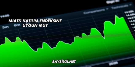 MIATK Katılım Endeksine Uygun mu?