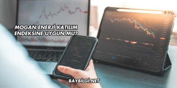 Mogan Enerji Katılım Endeksine Uygun mu?