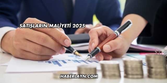 Satışların Maliyeti 2025