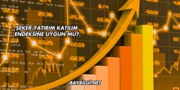 Şeker Yatırım Katılım Endeksine Uygun mu?