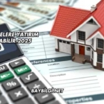 Şili'de Nelere Yatırım Yapılabilir 2025