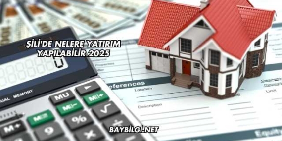 Şili’de Nelere Yatırım Yapılabilir 2025