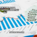 Yatırım Fonlarına Yatırım Yapmak Mantıklı mı?