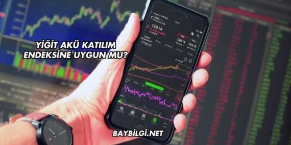 Yiğit Akü Katılım Endeksine Uygun mu?