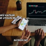 Yiğit Akü Katılım Endeksine Uygun mu?