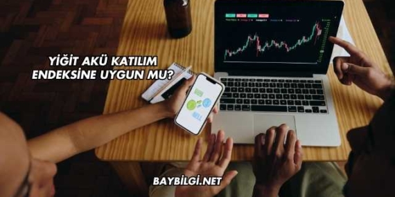 Yiğit Akü Katılım Endeksine Uygun mu?