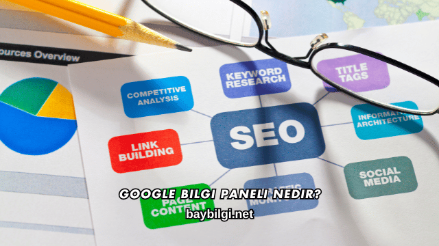 Google Bilgi Paneli Nedir