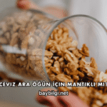 Ceviz Ara Öğün İçin Mantıklı mı?