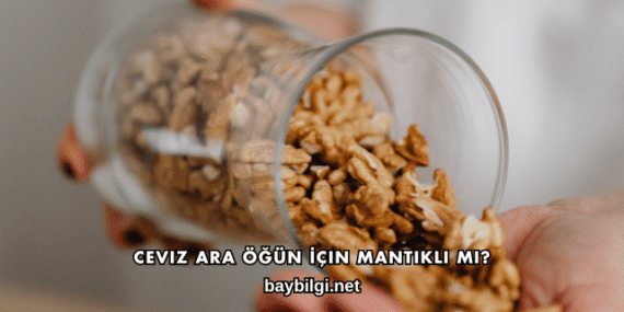 Ceviz Ara Öğün İçin Mantıklı mı?