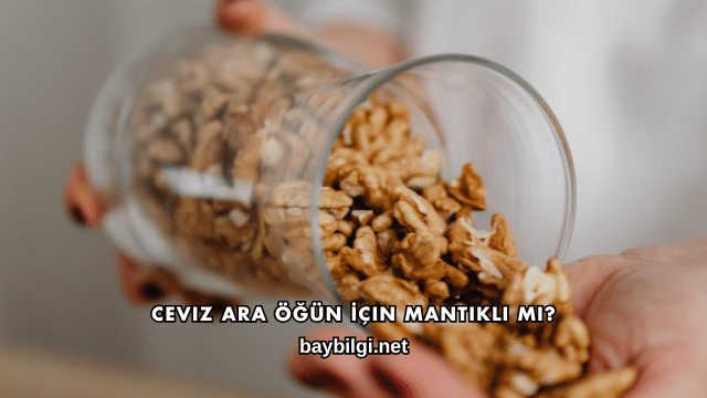 Ceviz Ara Öğün İçin Mantıklı mı?