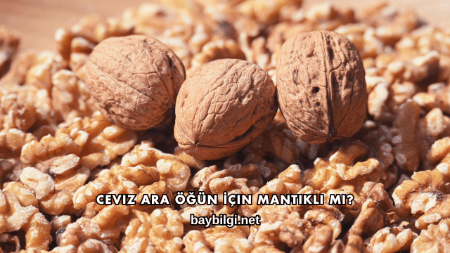 Ceviz Ara Öğün İçin Mantıklı mı?