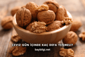 Ceviz Gün İçinde Kaç Defa Yenmeli?
