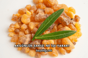 Akgünlük Sakızı Ne İşe Yarar?