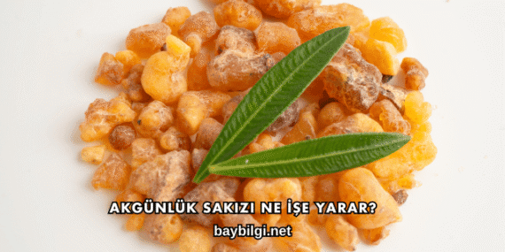 Akgünlük Sakızı Ne İşe Yarar?