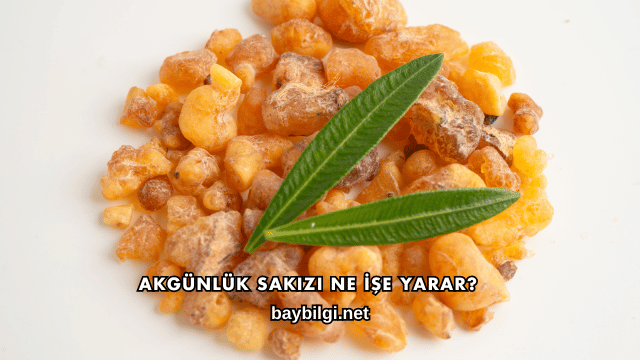 Akgünlük Sakızı Ne İşe Yarar?