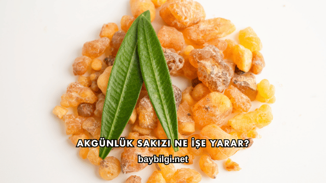 Akgünlük Sakızı Ne İşe Yarar?