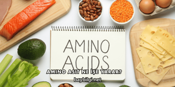 Amino Asit Ne İşe Yarar?