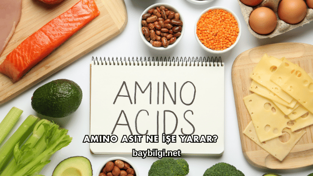 Amino Asit Ne İşe Yarar?