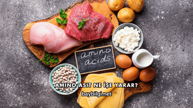 Amino Asit Ne İşe Yarar?