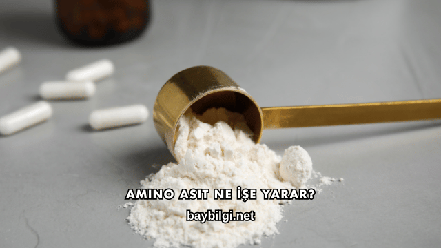 Amino Asit Ne İşe Yarar?