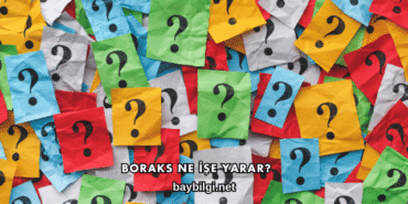 Boraks Ne İşe Yarar?