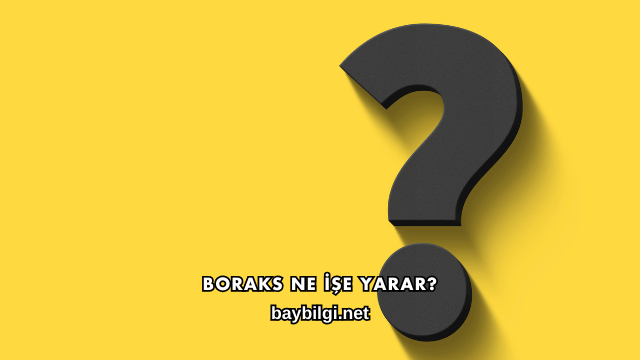 Boraks Ne İşe Yarar?