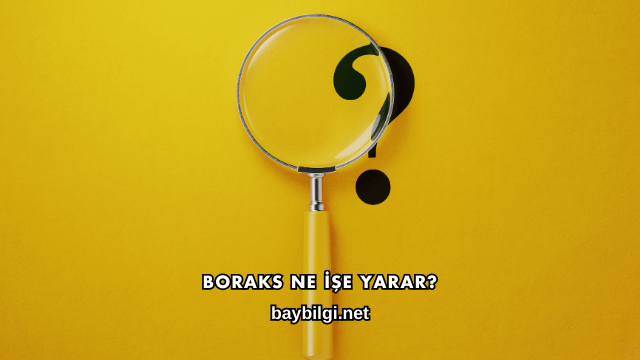 Boraks Ne İşe Yarar?