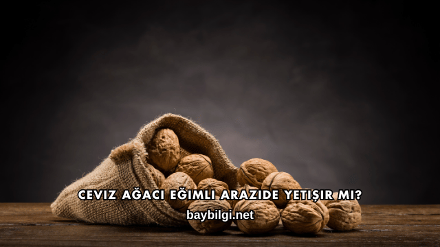 Ceviz Ağacı Eğimli Arazide Yetişir mi?