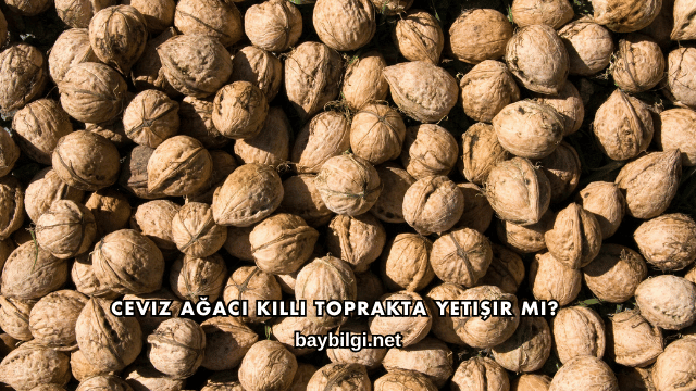Ceviz Ağacı Killi Toprakta Yetişir mi?