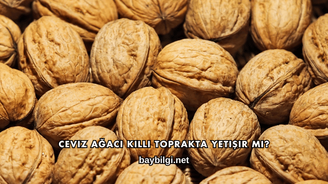 Ceviz Ağacı Killi Toprakta Yetişir mi?
