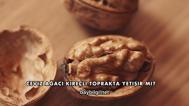 Ceviz Ağacı Kireçli Toprakta Yetişir mi?