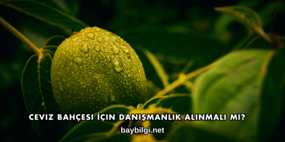 Ceviz Bahçesi İçin Danışmanlık Alınmalı mı?