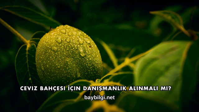 Ceviz Bahçesi İçin Danışmanlık Alınmalı mı?