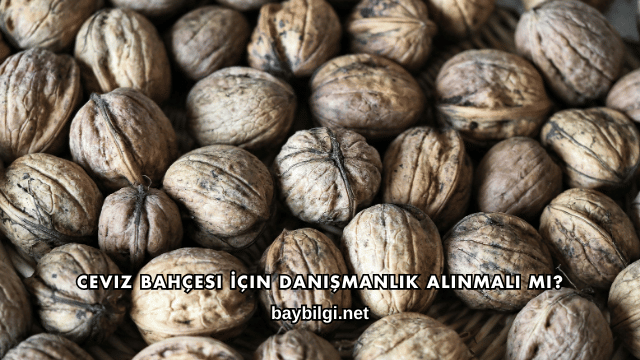 Ceviz Bahçesi İçin Danışmanlık Alınmalı mı?