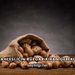 Ceviz Bahçesi İçin Rüzgar Kıran Gerekli mi?