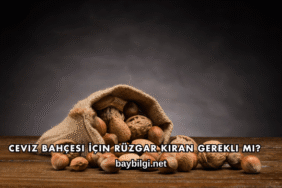Ceviz Bahçesi İçin Rüzgar Kıran Gerekli mi?