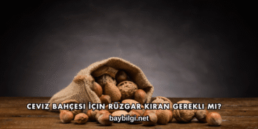 Ceviz Bahçesi İçin Rüzgar Kıran Gerekli mi?