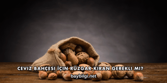 Ceviz Bahçesi İçin Rüzgar Kıran Gerekli mi?