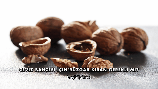 Ceviz Bahçesi İçin Rüzgar Kıran Gerekli mi?