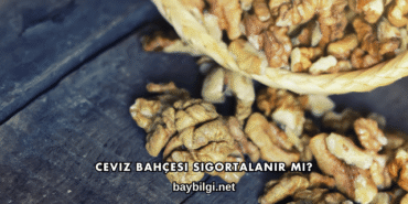 Ceviz Bahçesi Sigortalanır mı?