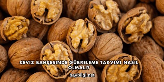 Ceviz Bahçesinde Gübreleme Takvimi Nasıl Olmalı?